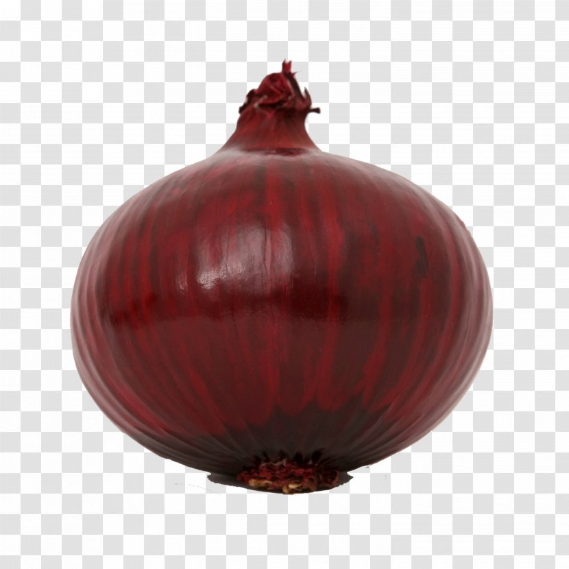 Red Onion Shallot Vegetable Scallion Transparent PNG