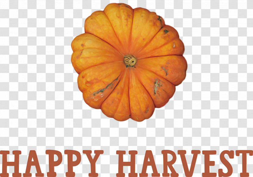 Happy Harvest Harvest Time Transparent PNG