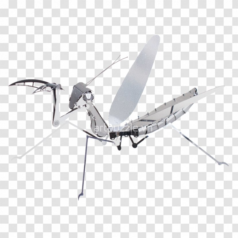 Scorpion Metal Arachnid Beetle Steel Transparent PNG