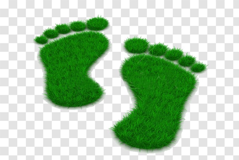 Stock Photography Metatarsophalangeal Joint Sprain Foot Toe Illustration - Green - Footprints Transparent PNG