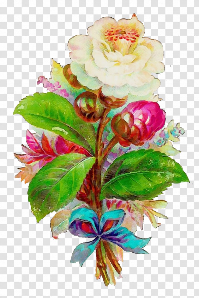 Flowers Bouquet - Camellia - Houseplant Perennial Plant Transparent PNG