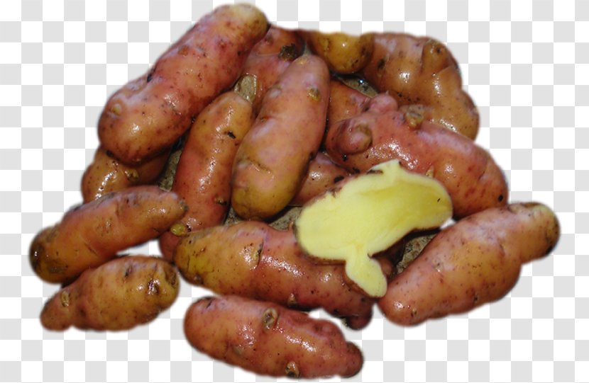 Fingerling Potato Knackwurst Cervelat Chistorra Breakfast Sausage - Kielbasa Transparent PNG