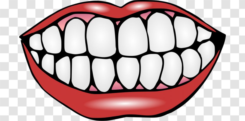 Human Tooth Smile Clip Art - Flower Transparent PNG