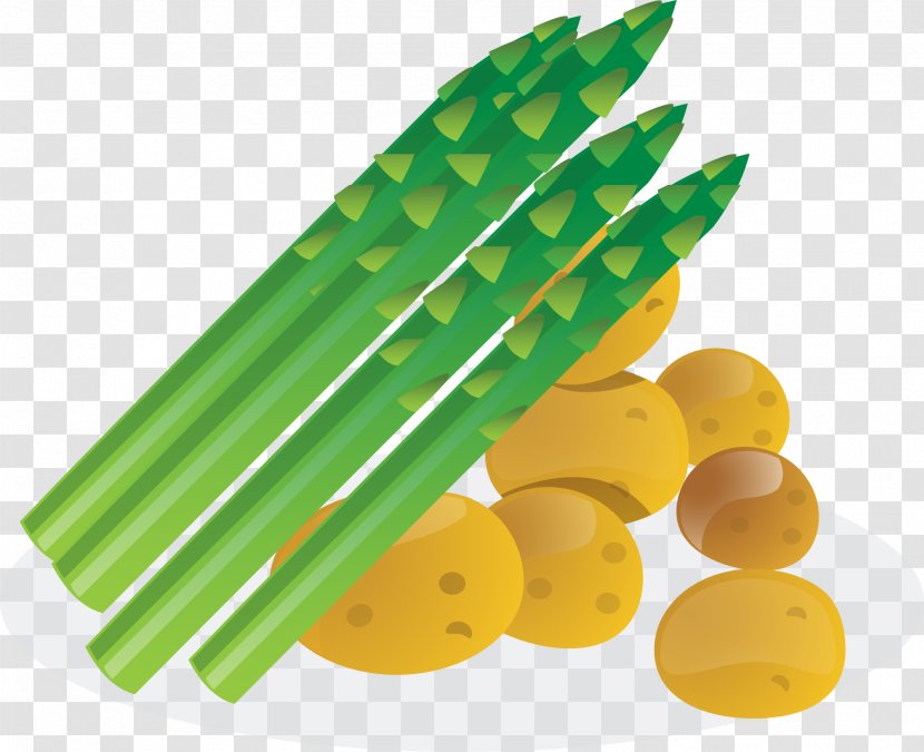 Asparagus Vegetable Clip Art - Corn On The Cob - Potatoes, Bamboo Shoots Transparent PNG