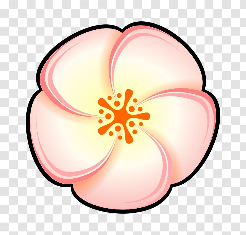 Peach Flower Clip Art - Pink Transparent PNG