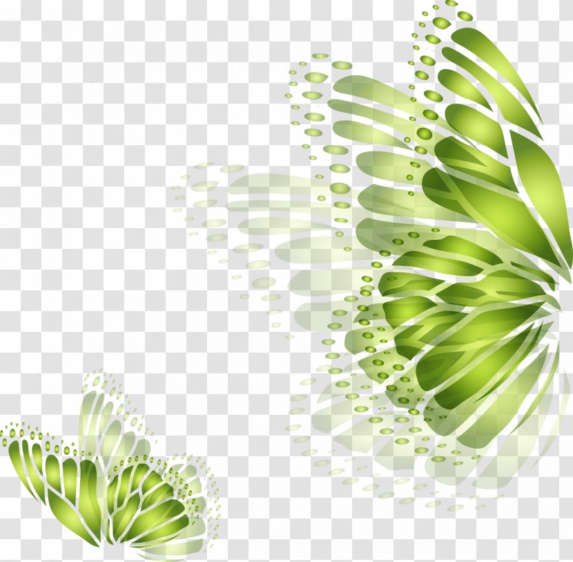 Butterfly Green Wallpaper - Photography - Drawing Beautiful Wings Transparent PNG