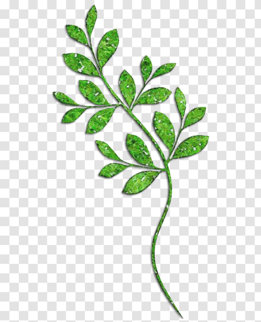 Leaf Flower Plant Green Tree - Wet Ink - Branch Woody Transparent PNG