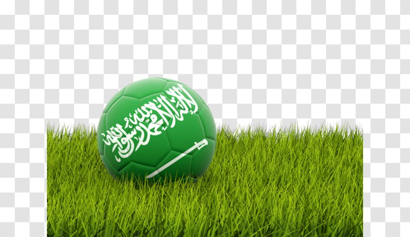 Flag Of Somalia Football Arabian Gulf Cup Syria - Saudi Arabia Transparent PNG