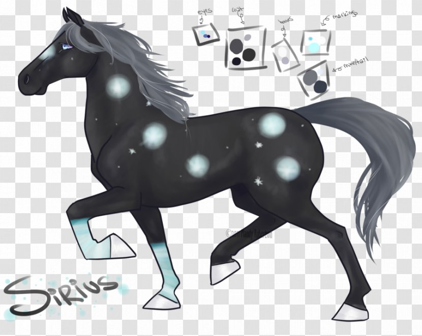 Stallion Mustang Pony Halter Mane - Horse Harnesses Transparent PNG