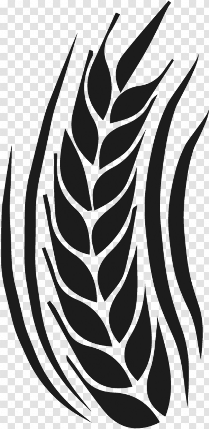 Black-and-white Leaf Pattern Plant Vascular Plant Transparent PNG