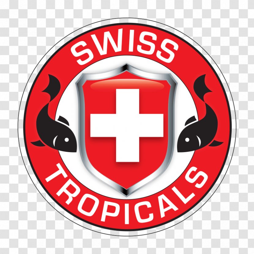 Swiss International Air Lines Rochester Airline Industry - United States Transparent PNG