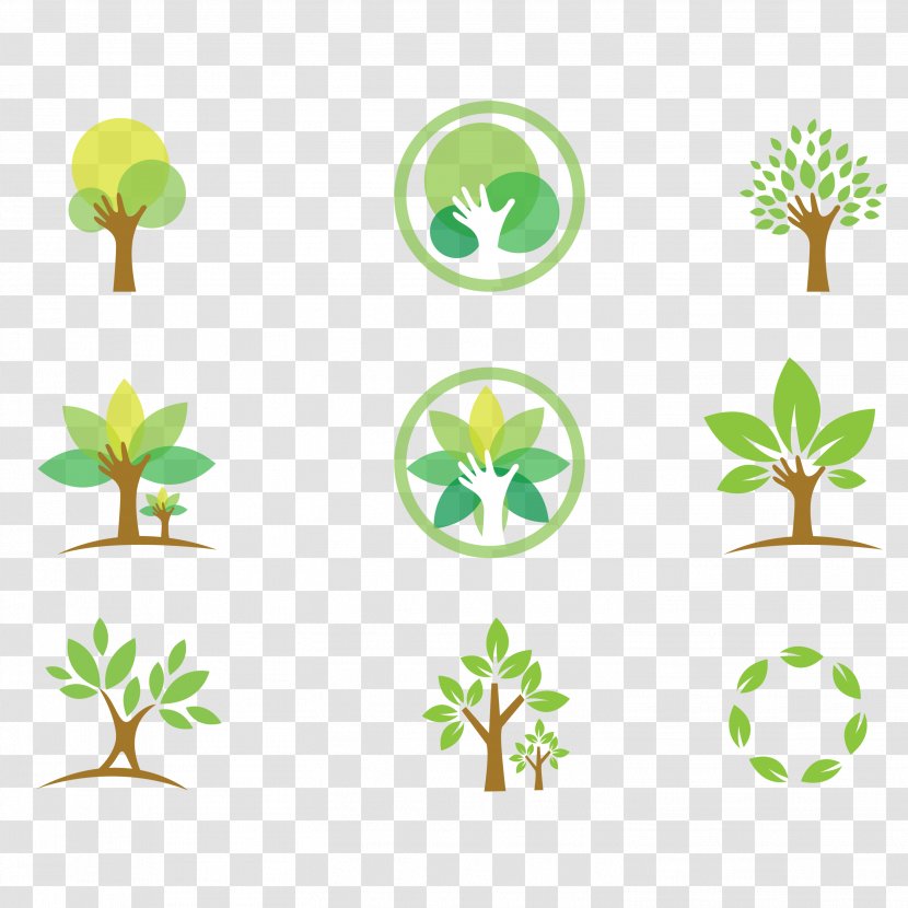 Ecology Vector Graphics Euclidean Logo Illustration - Branch - Environmental Protection Transparent PNG