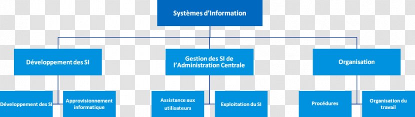 Organizational Chart Information System Chief Officer Transparent PNG