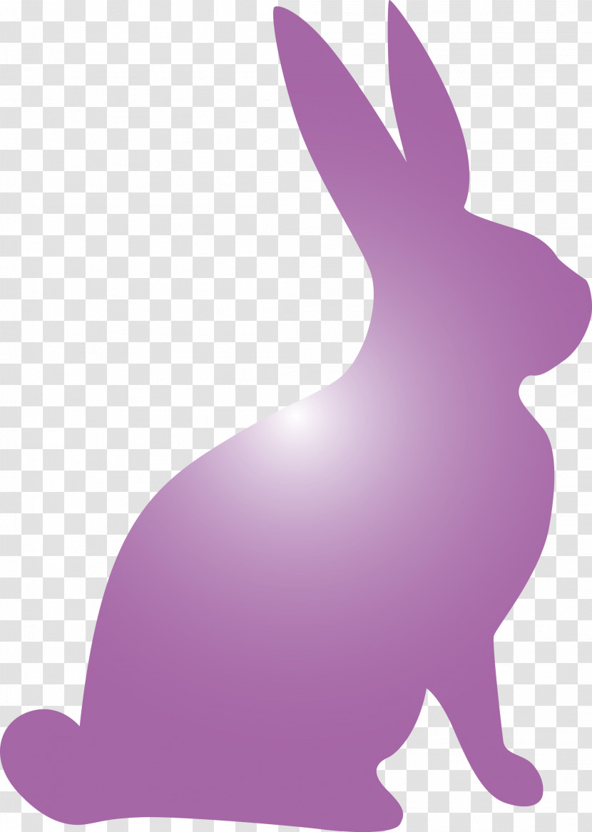 Easter Bunny Easter Day Rabbit Transparent PNG