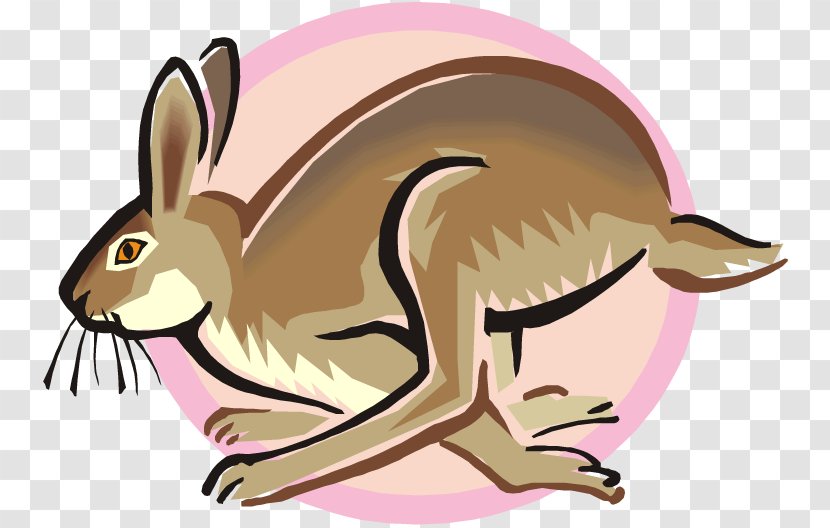 Arctic Hare Snowshoe Rabbit Clip Art - Fauna - Rabit Transparent PNG