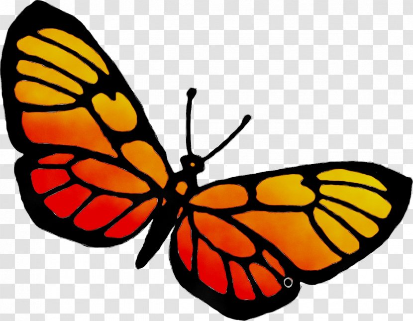 Clip Art Vector Graphics Image Drawing - Moths And Butterflies Transparent PNG