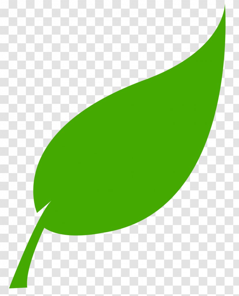 Renewable Energy Solar Service Food - Leaf Transparent PNG