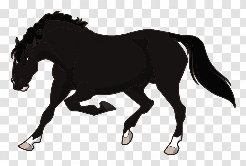 Stallion Mustang Rein Mare Pony - Horse Transparent PNG