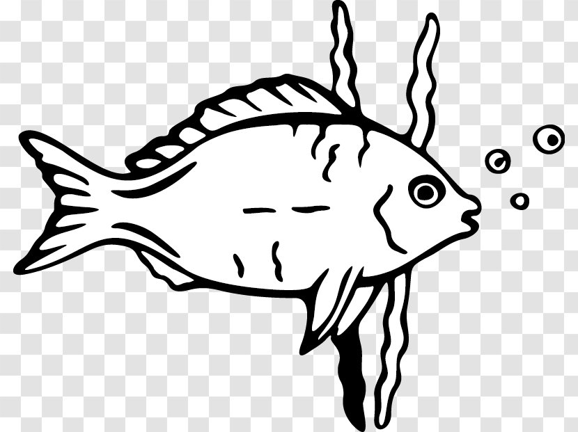 Cartoon Drawing Fish Clip Art Transparent PNG
