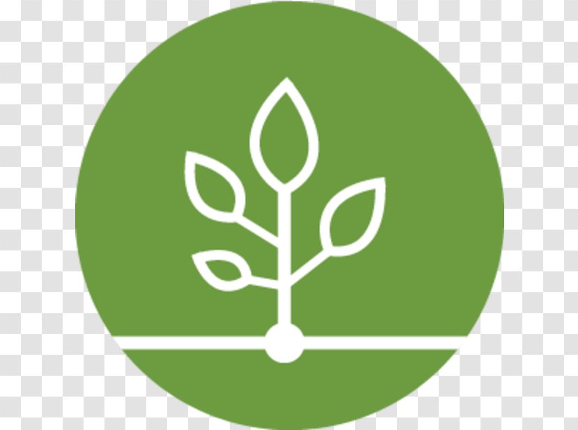 Business Development Icon Design Organization - Tree Transparent PNG