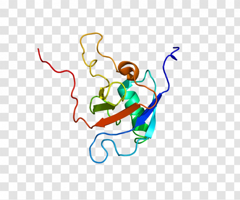 PLXNB1 Semaphorin Plexin Sema Domain Transmembrane Protein - Frame Transparent PNG