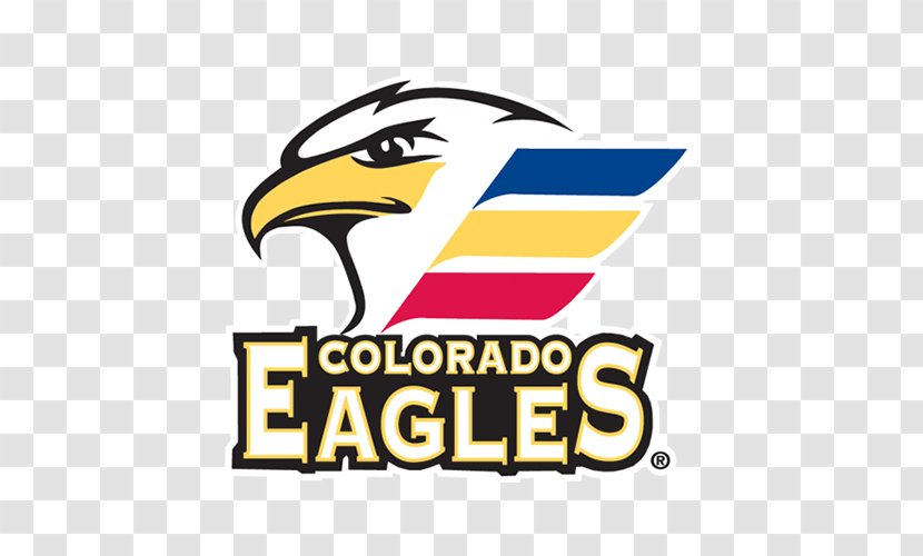Logo Colorado Eagles Avalanche Super Bowl New England Patriots - Hawk - Watercolor Transparent PNG