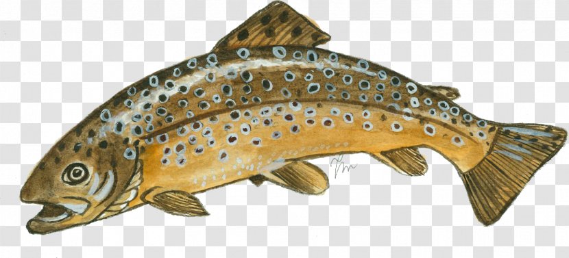 Salmon Coastal Cutthroat Trout Brown Fish Products Transparent PNG