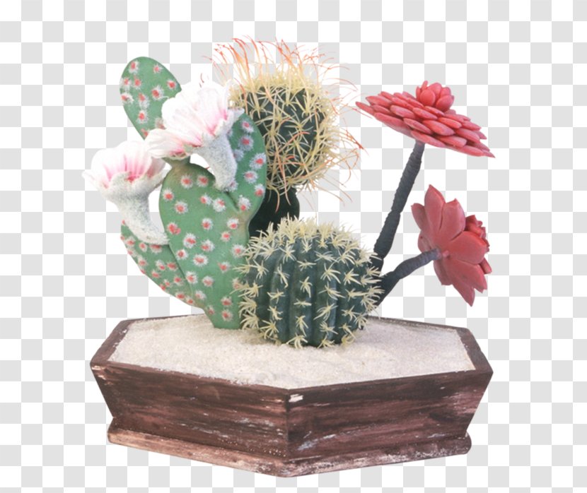 Cactus Succulent Plant Plants Barbary Fig Flowerpot - Epiphyllum - Flower Transparent PNG