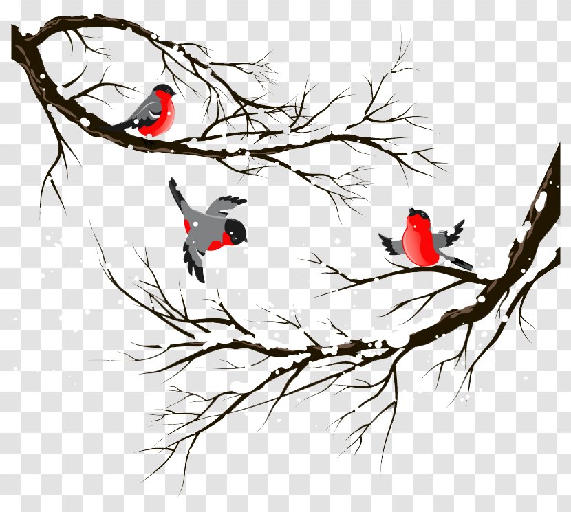 Bird Winter Stock Illustration - Tree - Birds Illustrator Vector Material Transparent PNG