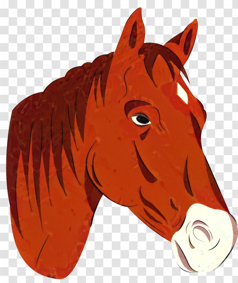 Mustang Stallion Pack Animal Illustration Bridle - Mare - Horse Transparent PNG