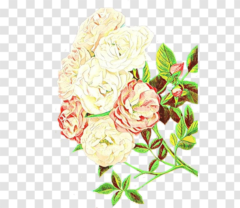 Pink Flowers Background - Rose Family - Rosa Wichuraiana Hybrid Tea Transparent PNG