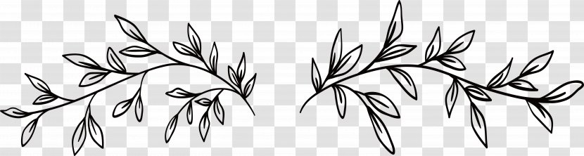 Black And White - Flora - Hand-painted Leaves Flower Vine Transparent PNG