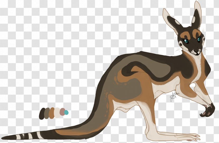 Kangaroo Dog Cartoon Canidae - Macropodidae Transparent PNG