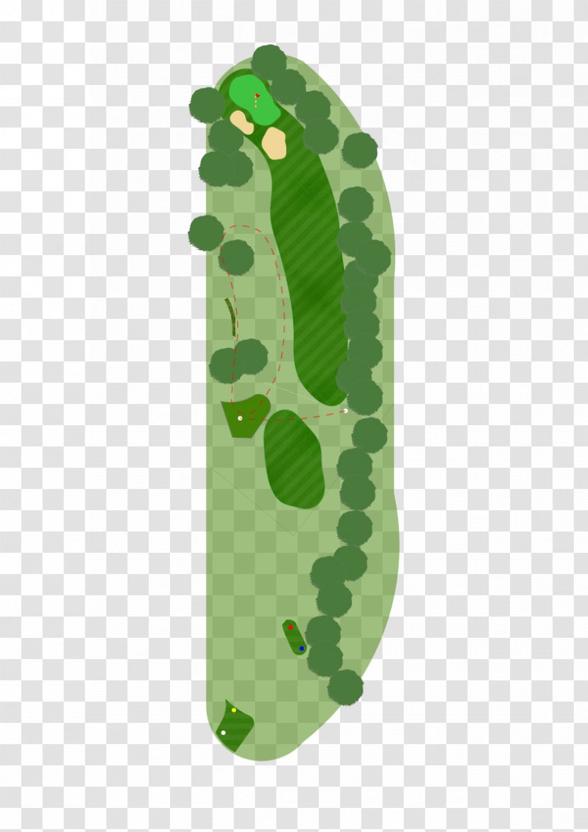 Leaf - Green - Golf Course Transparent PNG