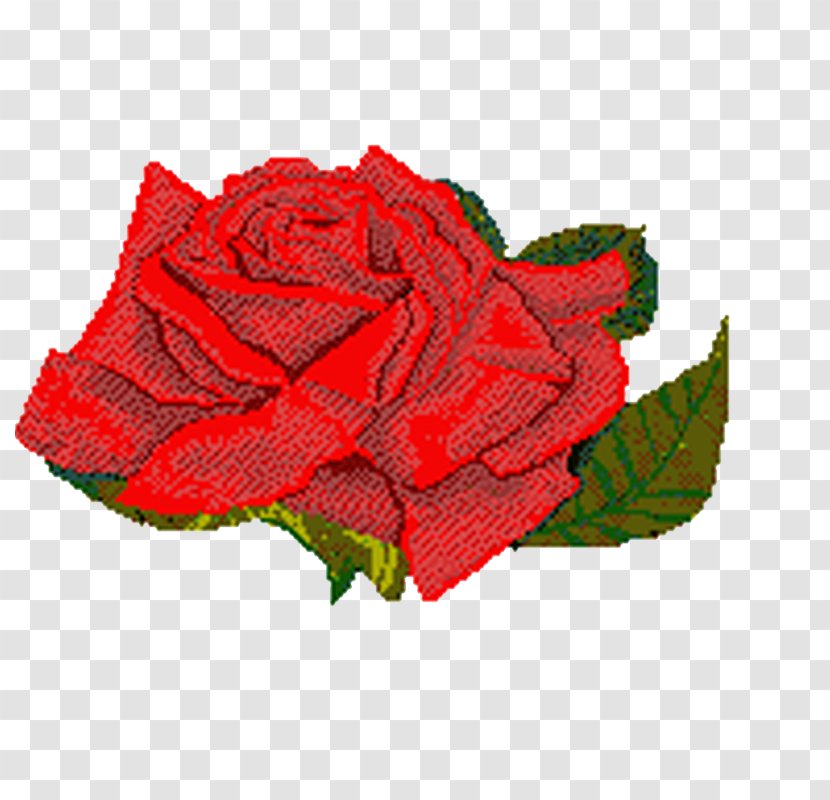 Rose Animation Flower - Plant Transparent PNG