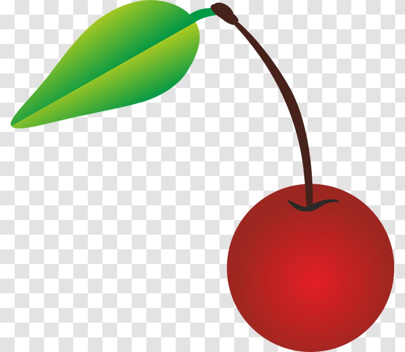Cherry Vegetable Fruit - Vector Image Transparent PNG