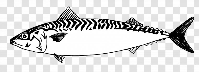 Mackerel Line Art Fish Drawing - Shark Transparent PNG