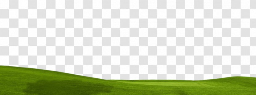 Lawn Desktop Wallpaper Grassland Computer Grasses - Plant Transparent PNG