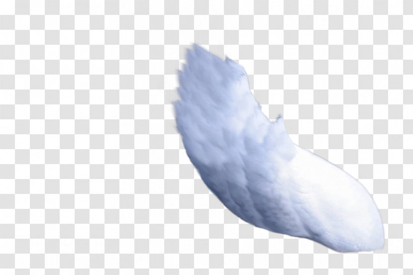 Sky Plc - Wing - Wings Of Freedom Transparent PNG
