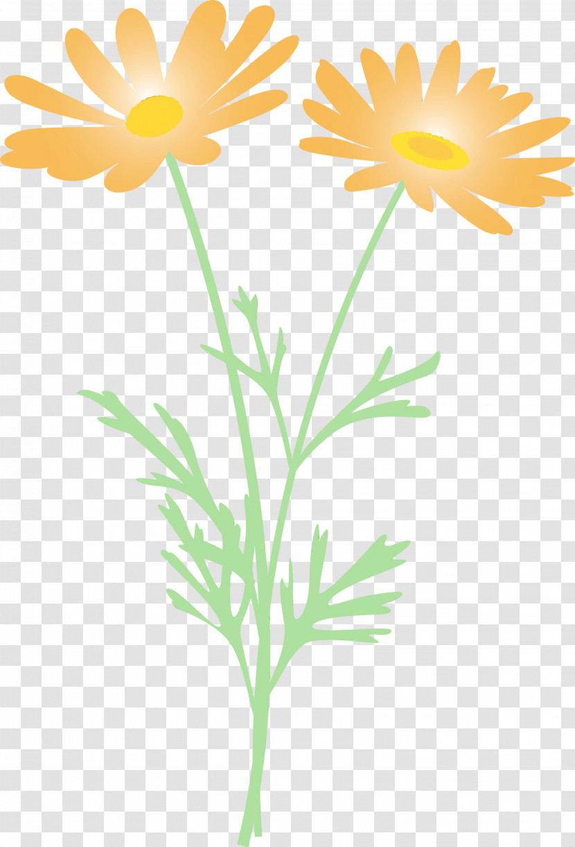 Daisy Transparent PNG