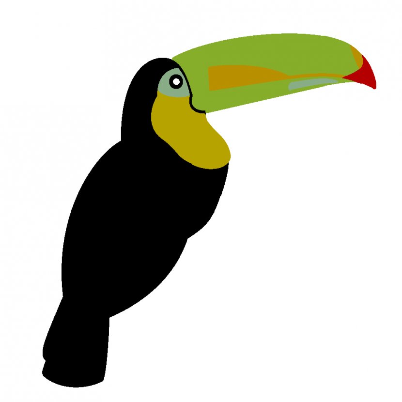 Keel-billed Toucan Common Ostrich Bird Toco Penguin - Outline Transparent PNG