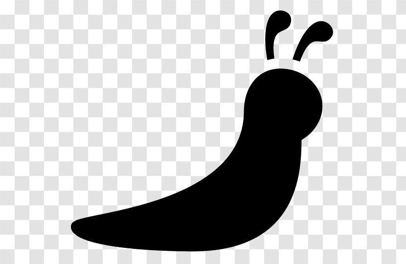 Slug Snail Clip Art - Black And White Transparent PNG
