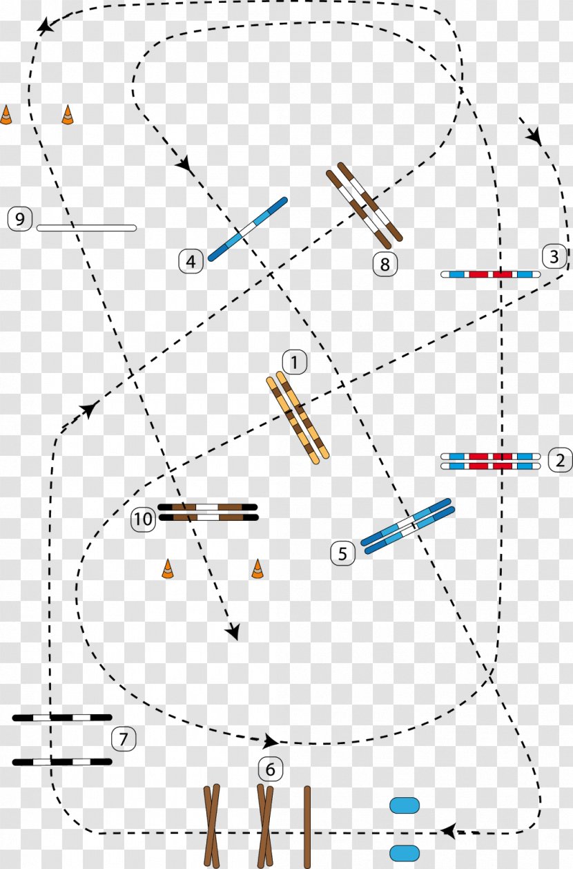 /m/02csf Hunt Seat Parcours De Concours Saut D'obstacles Trot Réaumont - Drawing - Text Transparent PNG