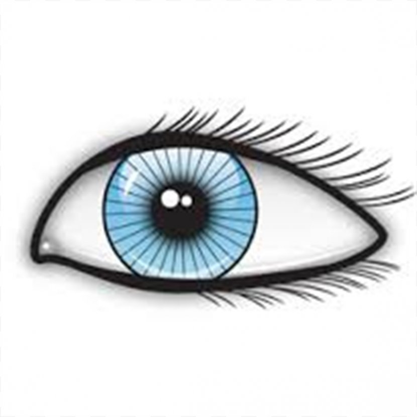 Eye - Flower - Eyes Transparent PNG