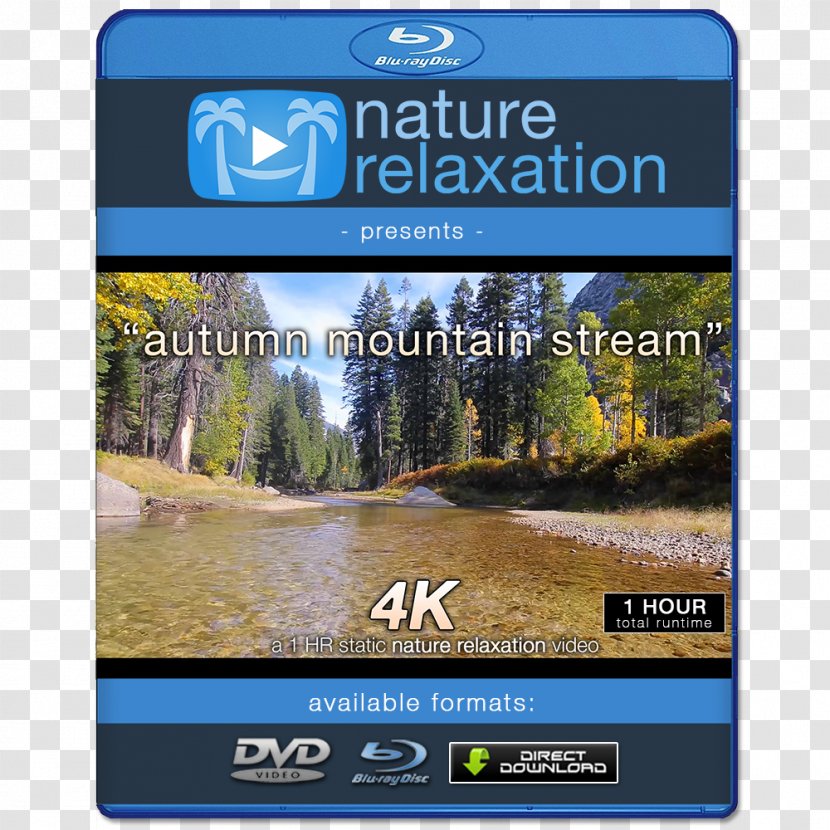 4K Resolution Streaming Media Amazon Video Nature Relaxation Films - Flower - Mountain Stream Transparent PNG