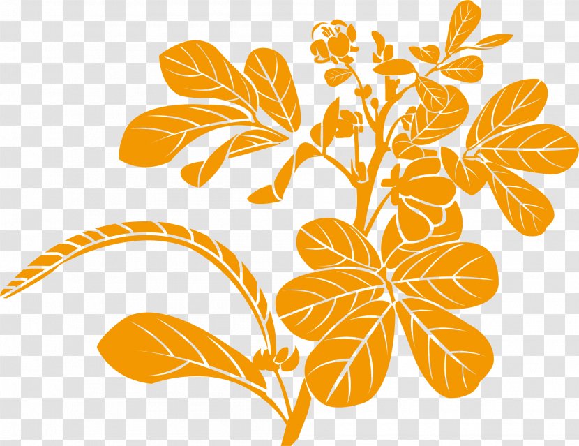 Traditional Chinese Medicine Herbology Herbalism - Silhouette - Yellow Herbs Transparent PNG