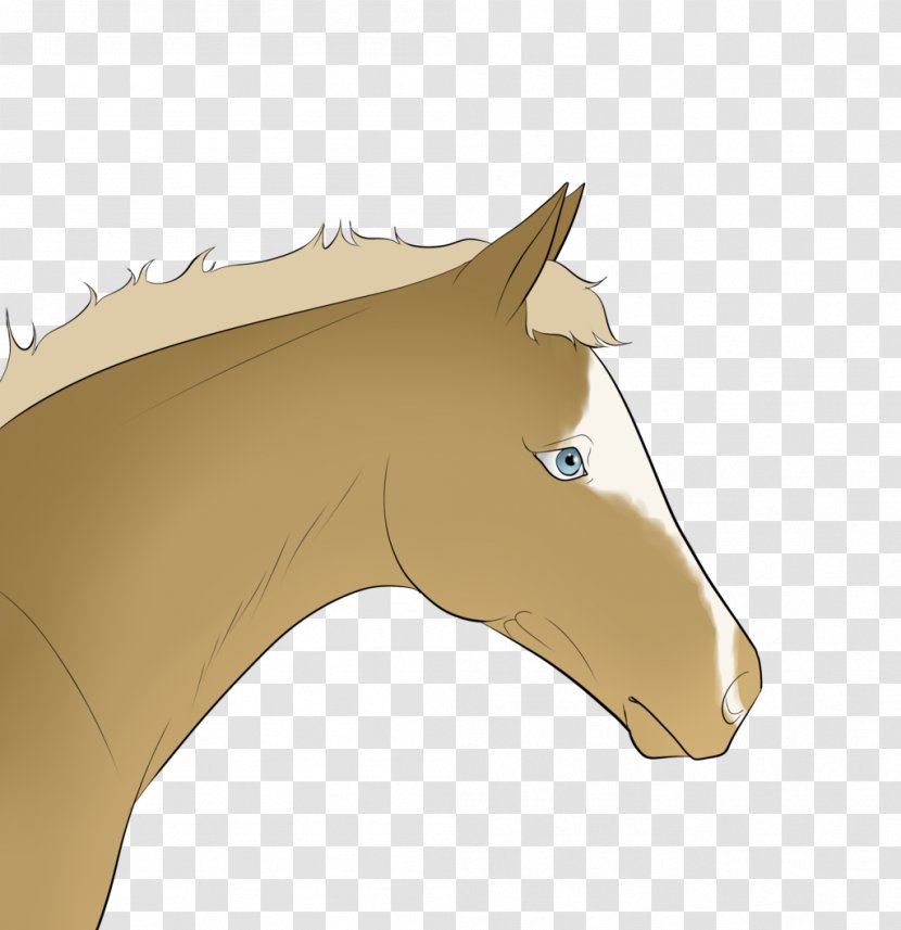 Mustang Snout Freikörperkultur Clip Art - Head Transparent PNG
