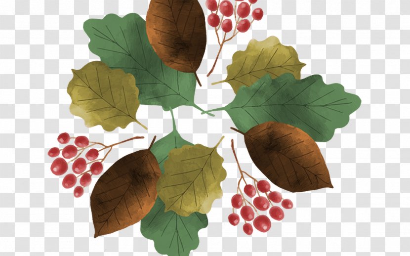 Vector Graphics Illustration Watercolor Painting - Fruit - Autumn Transparent PNG