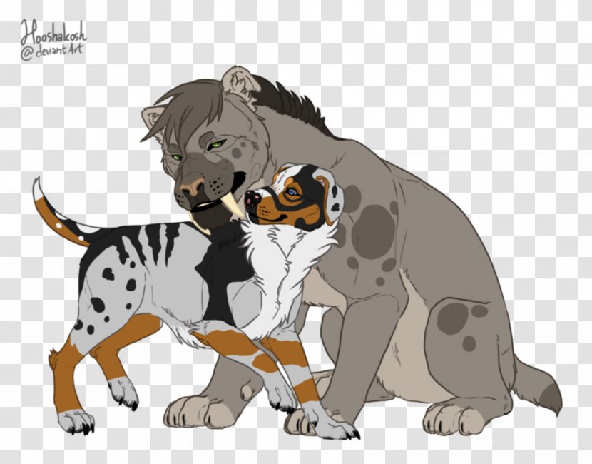 Cat Dog Breed Puppy - Mammal Transparent PNG