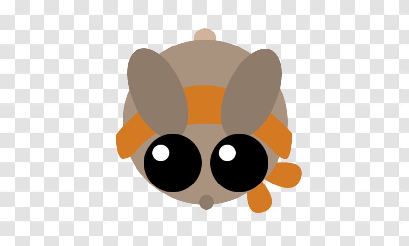 Rabbit Hare Mouse Gray Wolf - Leporids Transparent PNG